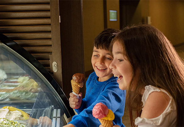 Ng Enjoy Lezzetler Ice Cream Shop Banner M