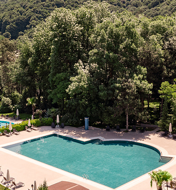 Ng Sapanca Acik Havuz Detail Banner M