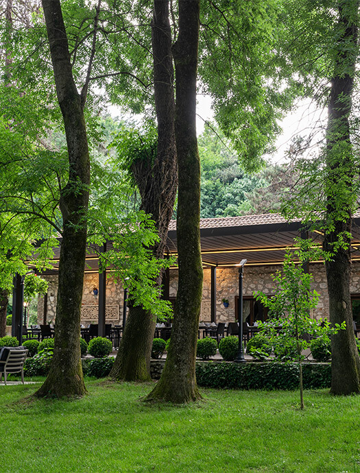 Ng Enjoy Farina Slider M2