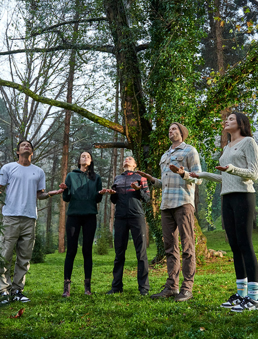 Ng Enjoy Orman Terapisi Galeri M2