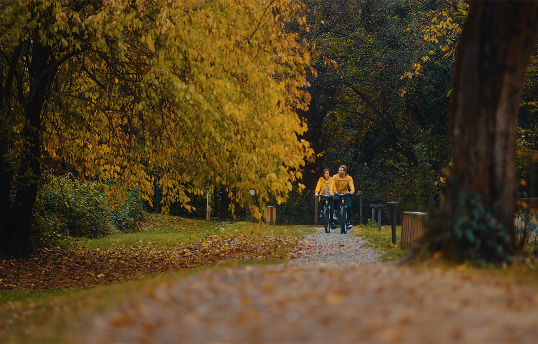 Ng Enjoy Agaclar Card