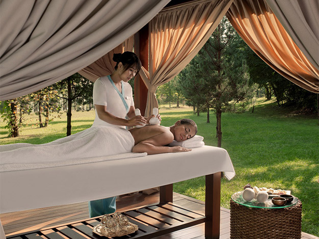 Ng Sapanca Spa Menu Masajlar Card3