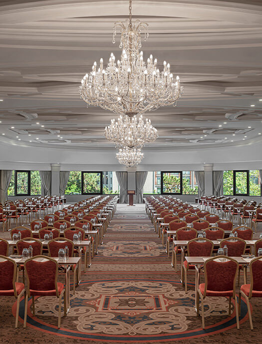 Ng Sapanca Manolya Slider M