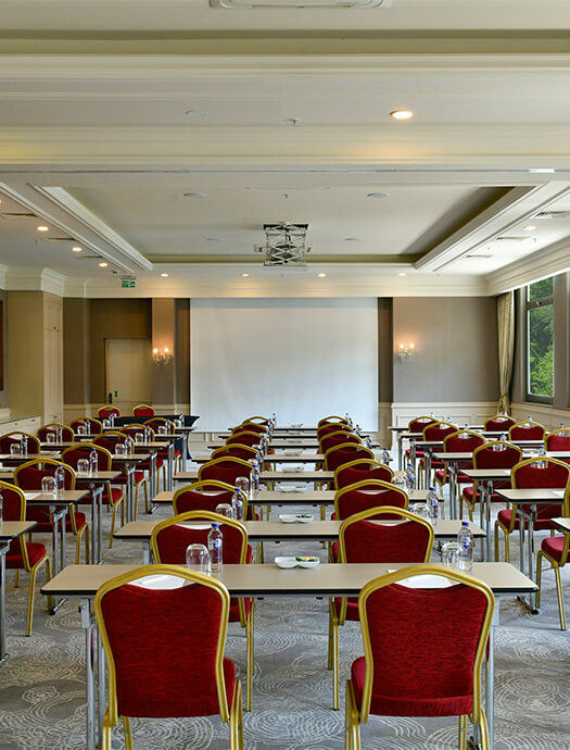 Ng Sapanca Begonya Card M