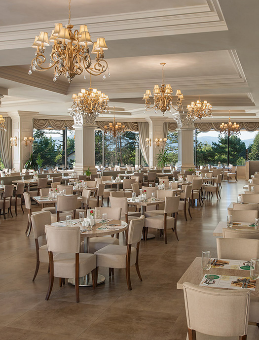 Ng Sapanca Erguvan Restaurant Galeri 3 M