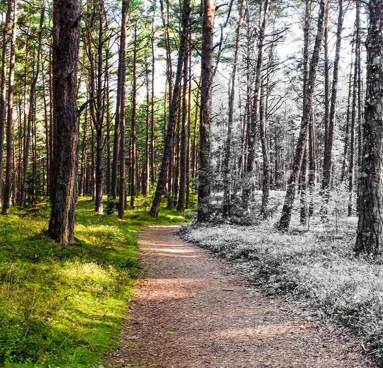 Nghotelsblog Sapanca Banner M