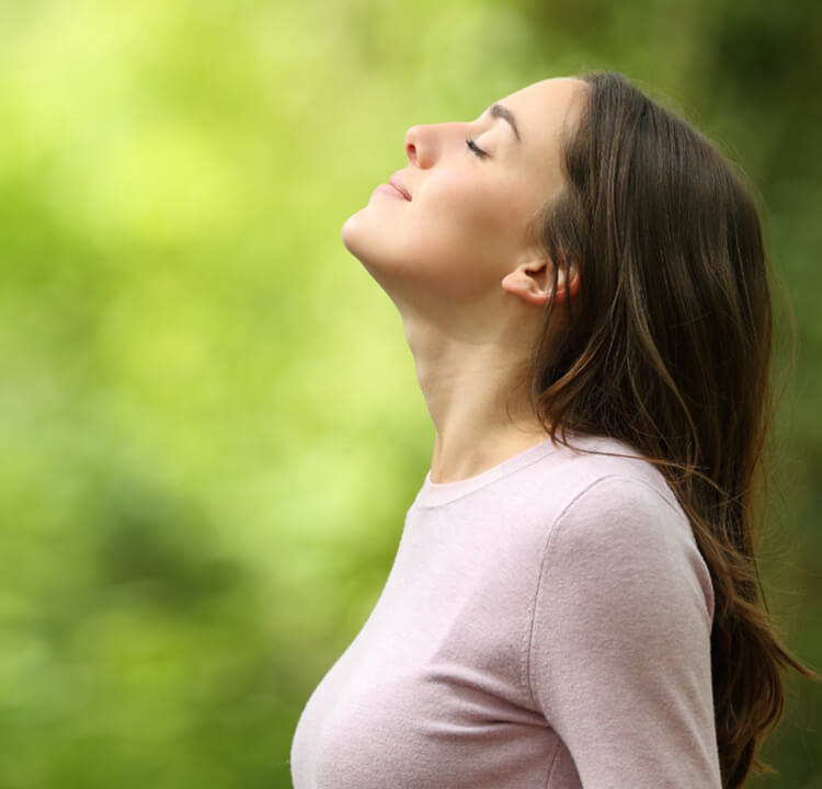 Ng Hotels Blog Tatil Konsepti Banner M