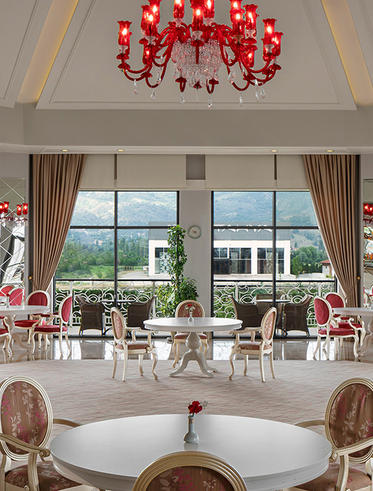 Ng Afyon Lezzetler Mercan Lounge Galeri 1 M