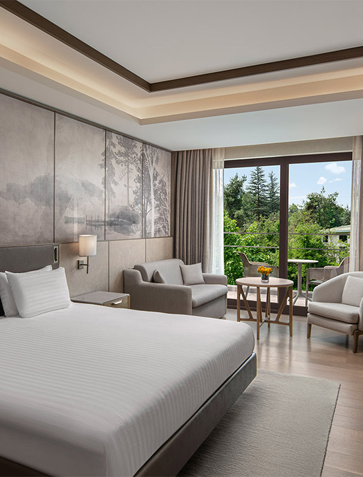 Ng Enjoy Superior Terasli Oda Galeri M