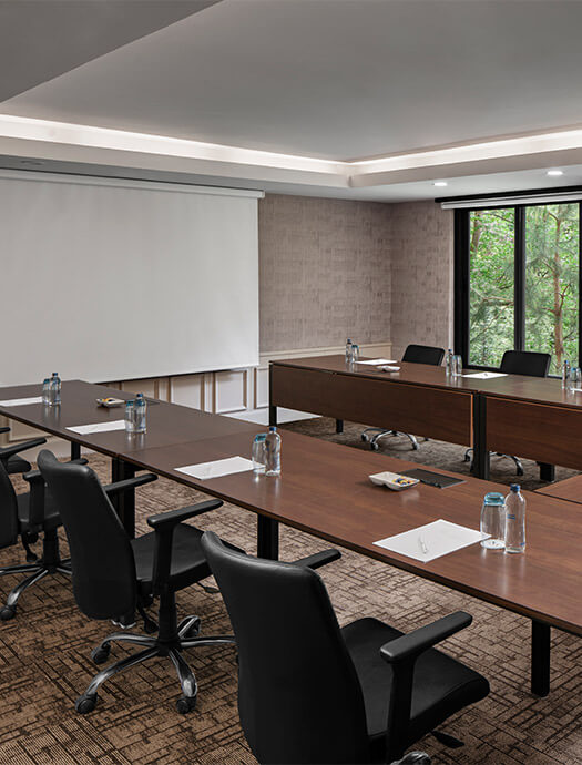 Ng Sapanca Cinar Slider M