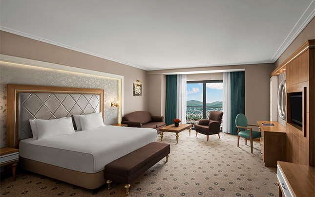 Ng Afyon Odalar Banner M