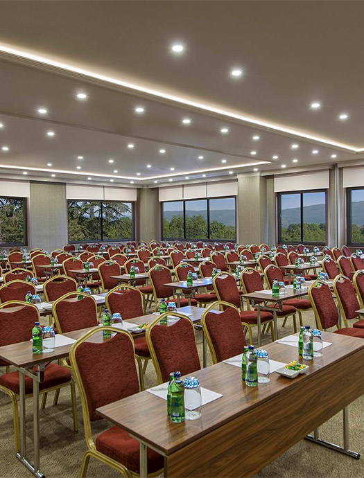 Ng Sapanca Petunya Slider M