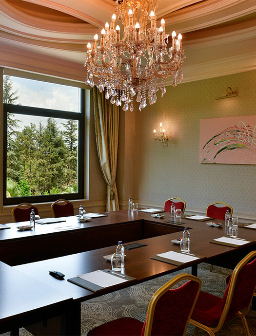 Ng Sapanca Fulya Toplanti Salonu Galeri Card2 M