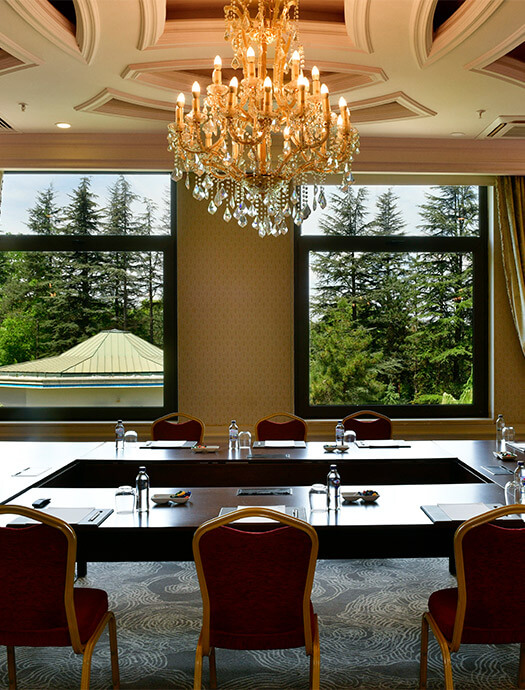 Ng Sapanca Fulya Toplanti Salonu Galeri Card3 M