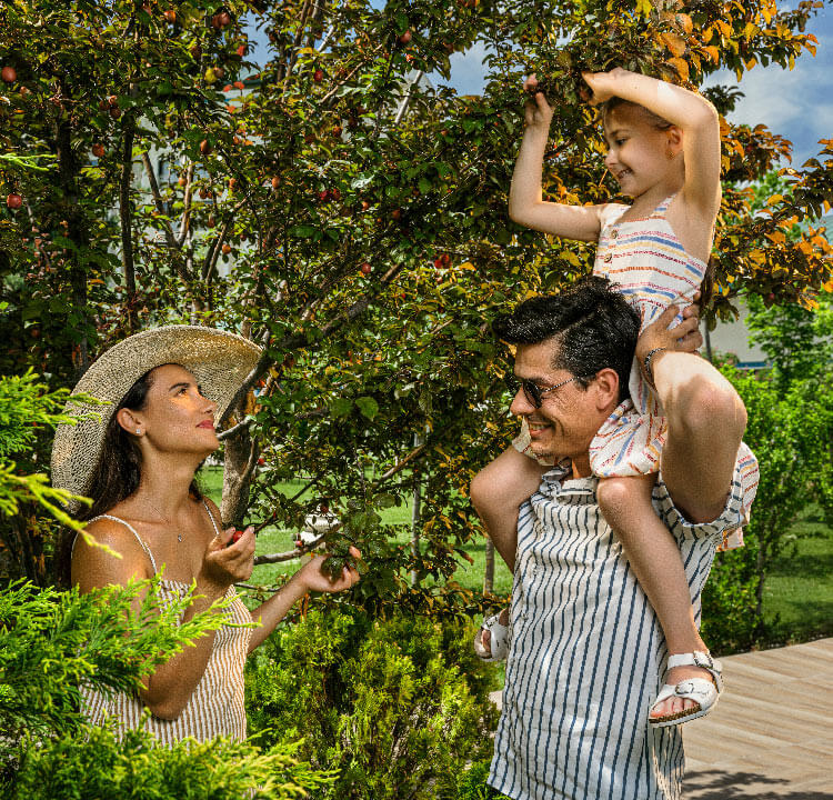 Ng Afyon Bahar Firsati Banner M