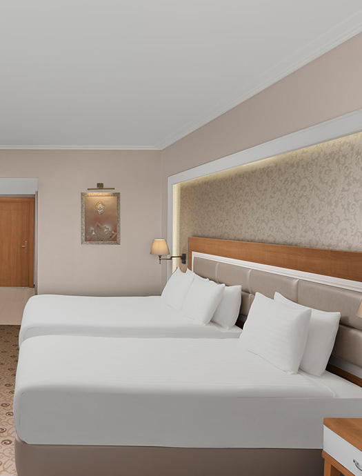 Ng Afyon Superior Deluxe Oda Galeri 2 M