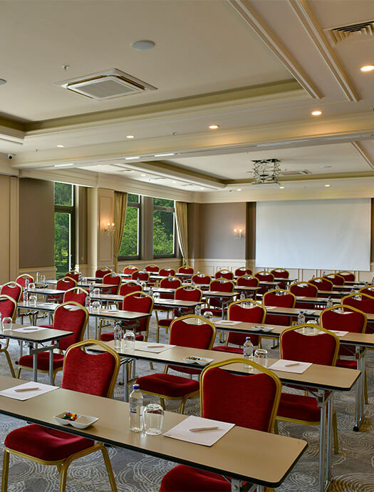 Ng Sapanca Begonya Card M3