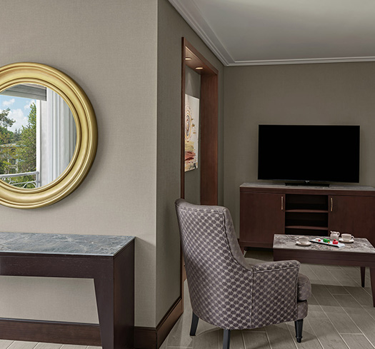 Ng Sapanca Odalar Junior Suit Oda Ozellikleri Card Mobile