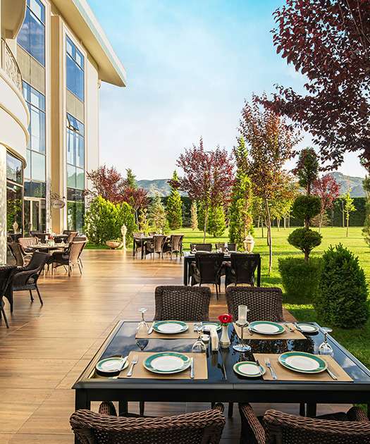 Ng Afyon Lezzetler Farina Restoran Ara Banner M