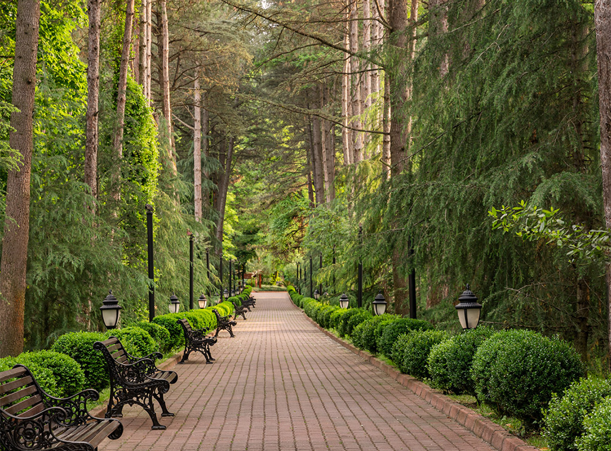 Ng Sapanca Sonsuz Ask Slider5