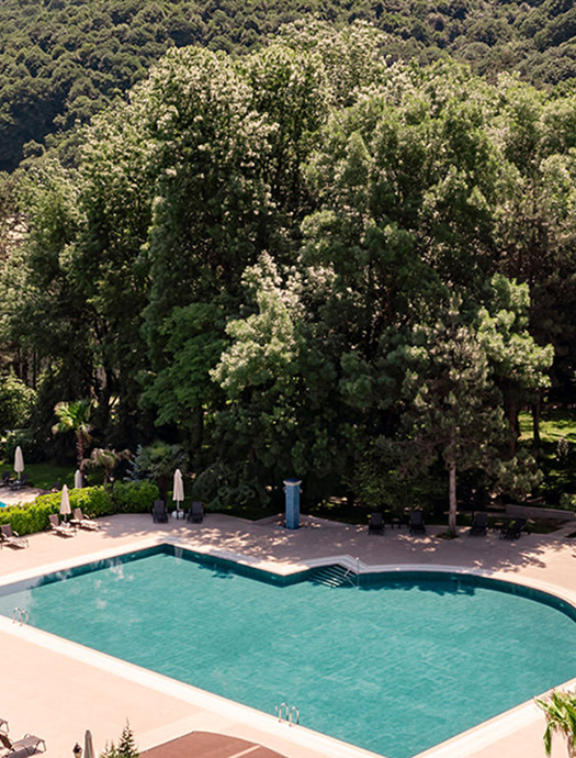 Ng Sapanca Acik Havuz Detail Galeri 1 M