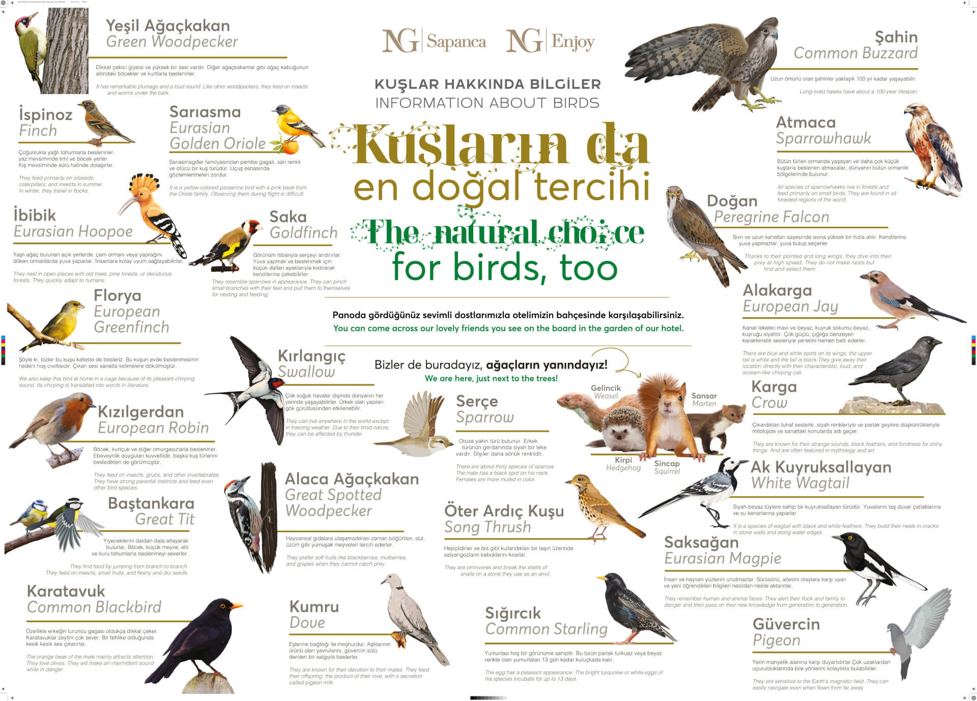 Ng Hotels Kus Bilgilendirme Card (1)