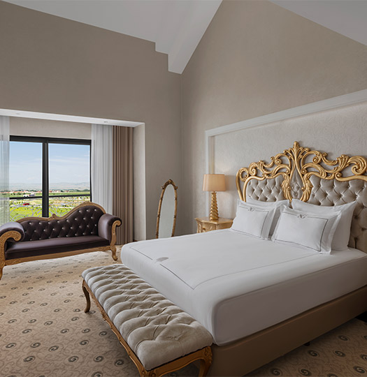 Ng Afyon Queen Suit Card M