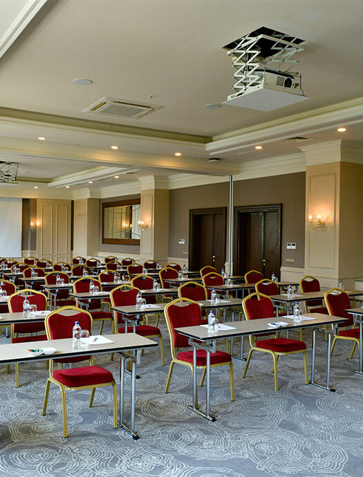 Ng Sapanca Begonya Card M2