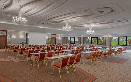 Ng Sapanca Toplanti Banner M