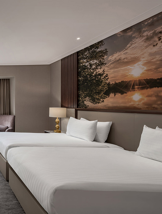 Ng Sapanca Kral Dairesi Galeri 1 M