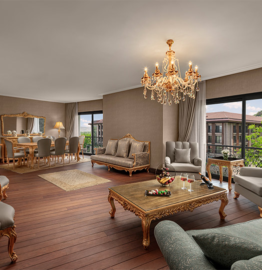 Ng Sapanca Kral Dairesi Card M2