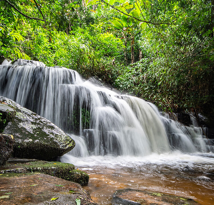 Ng Sapanca Blog Masukiye Banner M