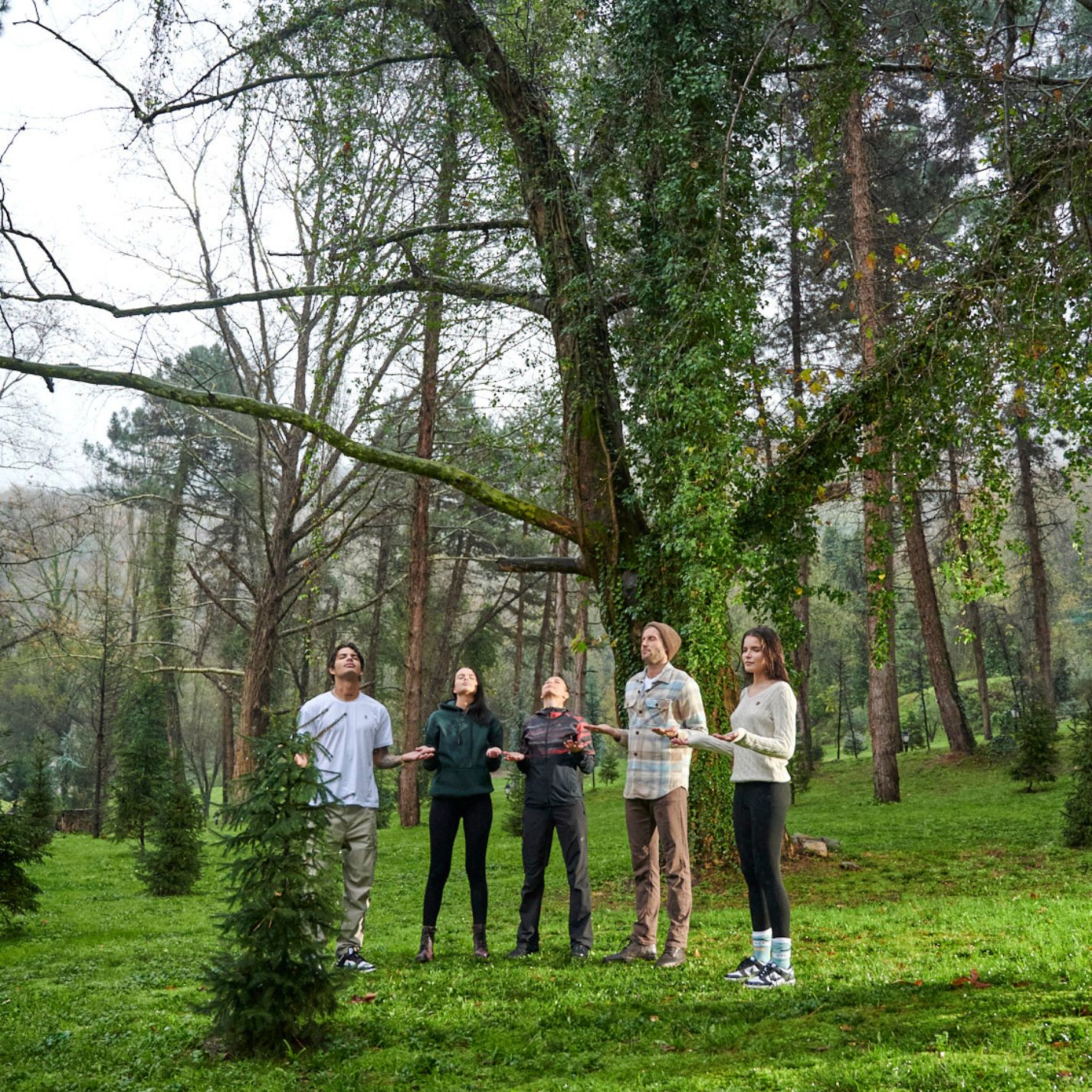 Ng Hotels Blog Yeni Yil Card