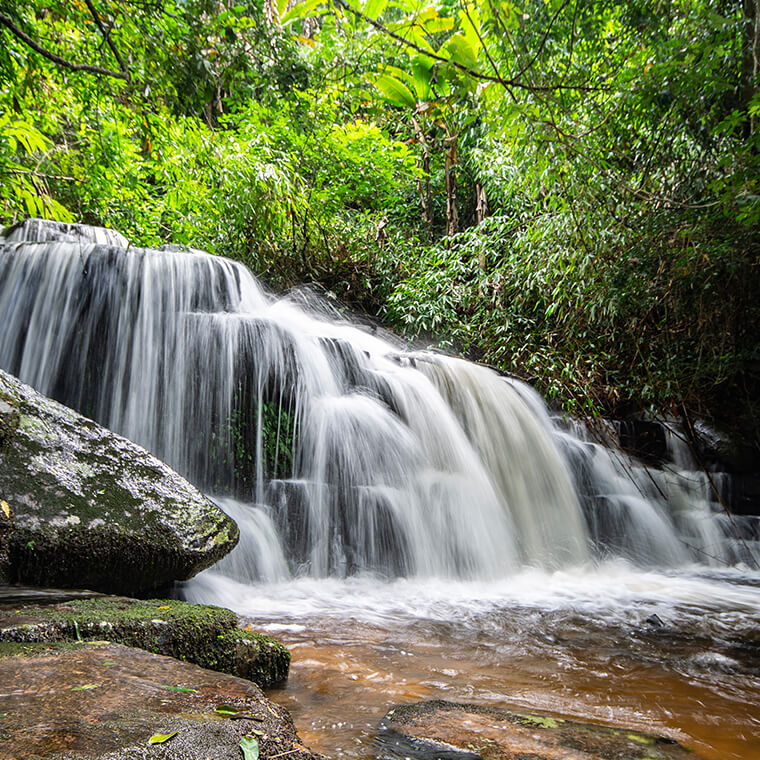 Ng Sapanca Blog Masukiye Card