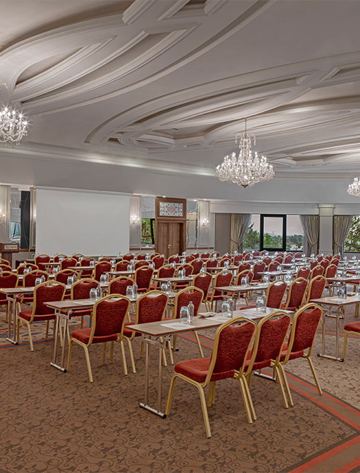 Ng Sapanca Manolya Slider M3