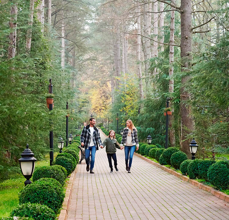 Ng Hotels Blog Card M