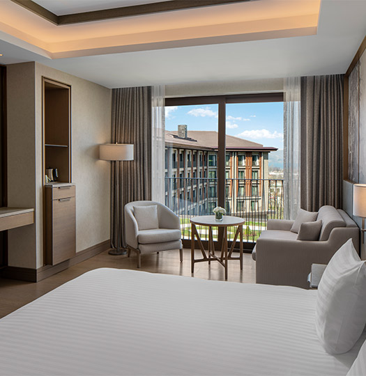 Ng Enjoy Anasayfa Deluxe Oda Card M2