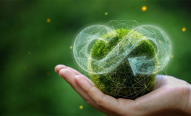 Ng Hotels Surdurulebilirlik Card