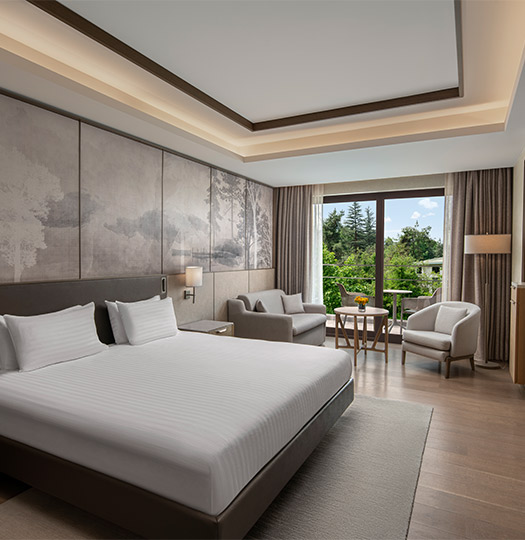 Ng Enjoy Anasayfa Terasli Deluxe Oda Card M