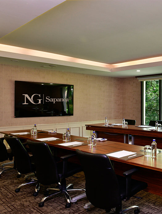 Ng Sapanca Cinar Card M