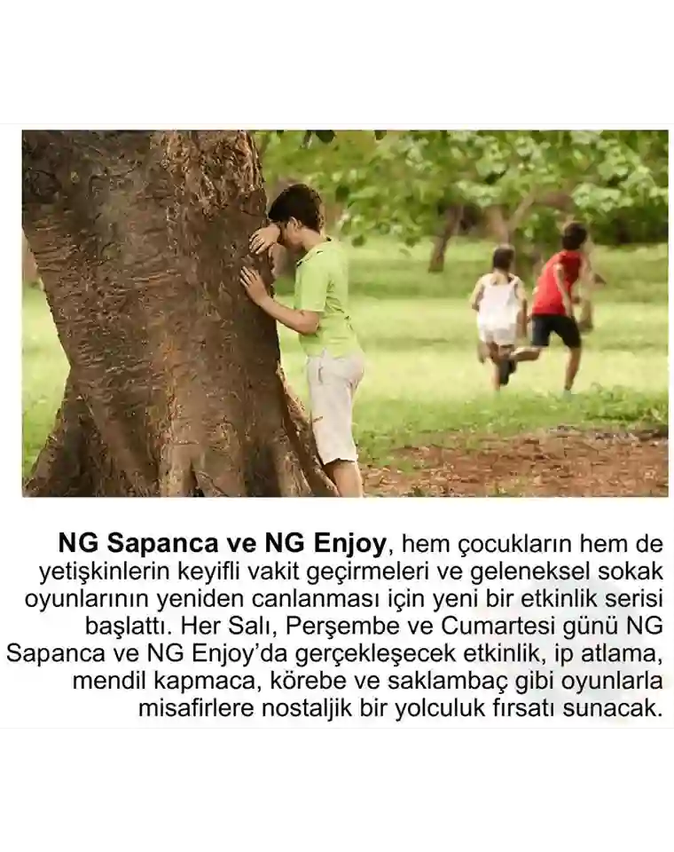 Ng Hotels Basinda Biz Capital Card M23